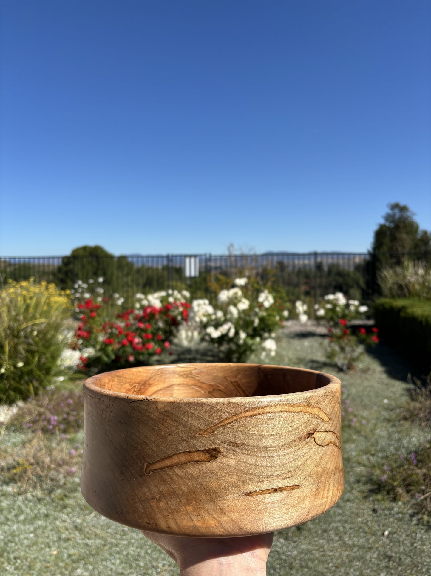 Ambrosia Maple 10"x4" Bowl